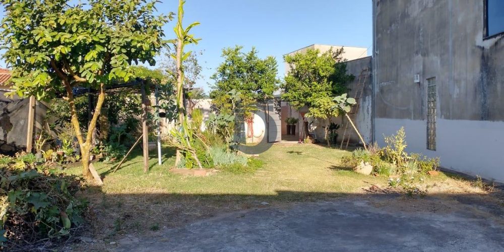 whatsapp-image-2021-07-07-at-174337