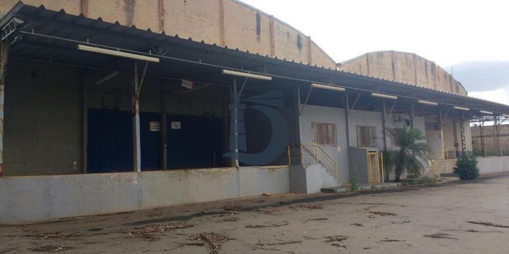 x310bk-a35f07e1-7661-45c4-849f-0831cfd7a848-1703095048