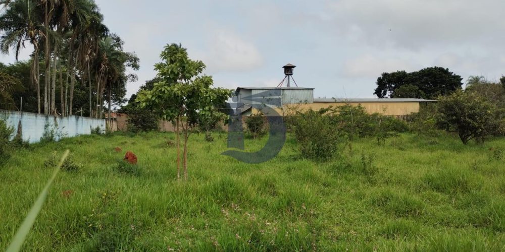 xdml4-whatsapp-image-2023-04-10-at-105640-2-1681138666