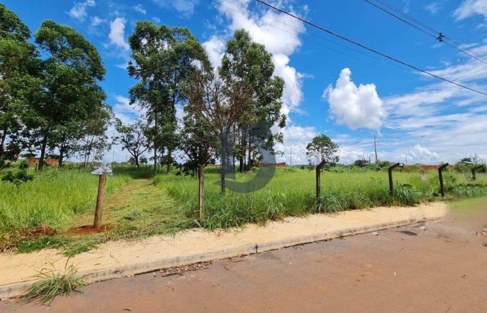 xdumm-whatsapp-image-2025-05-07-at-110213-2-1747167899