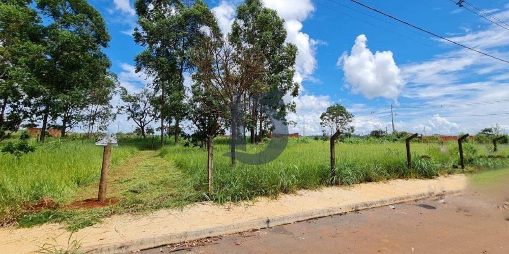 xdumm-whatsapp-image-2025-05-07-at-110213-2-1747167899