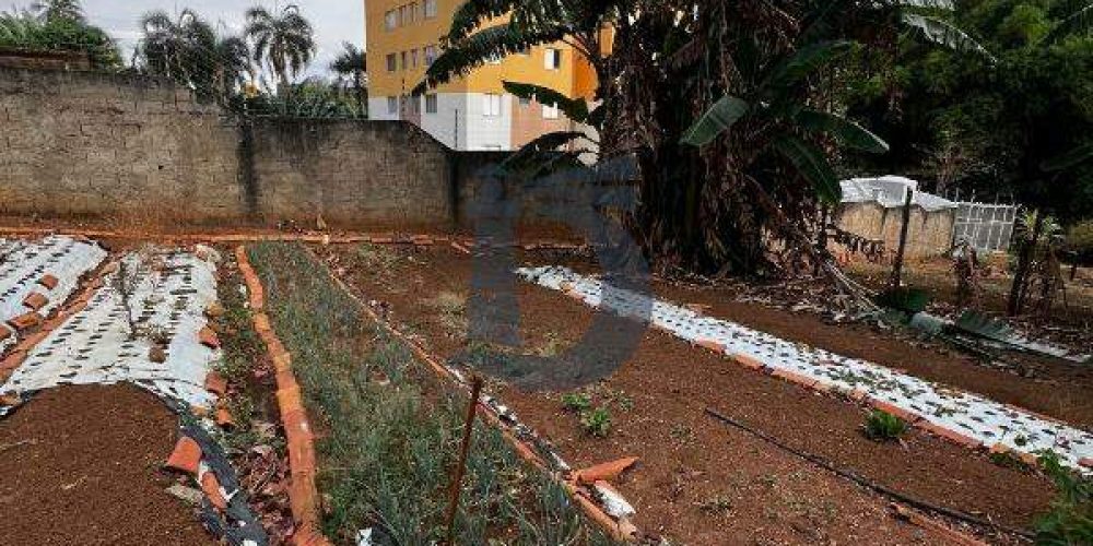 yjihx-whatsapp-image-2025-09-19-at-171545-1763564939