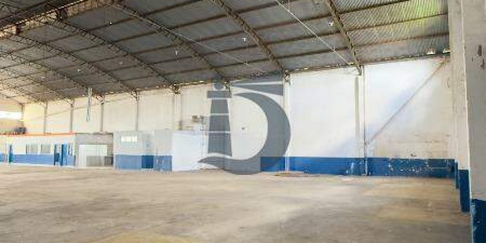 zpvqnl-img-8431-1773428300